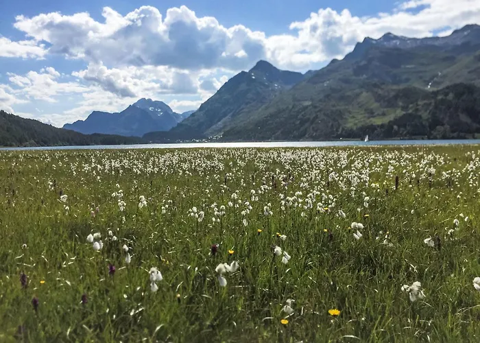 Chesa Pra D'sura 217-10 By Interhome