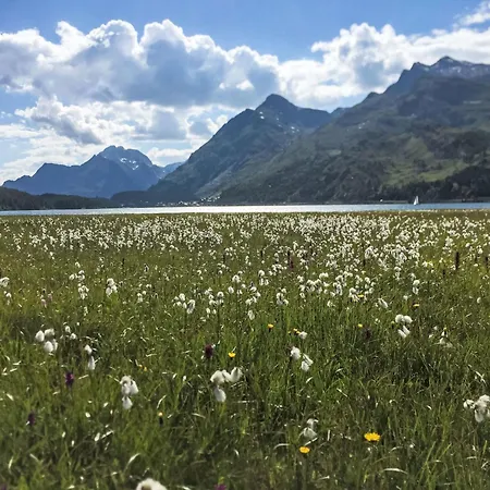 Chesa Pra D'sura 217-10 By Interhome